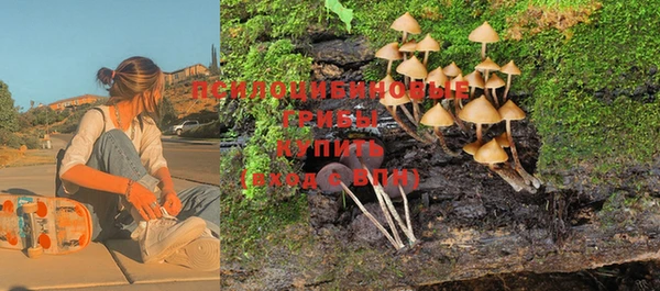 дживик Наволоки