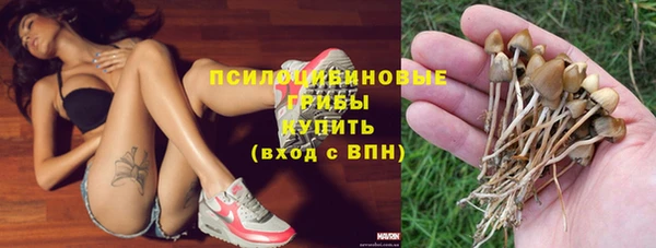 дживик Наволоки